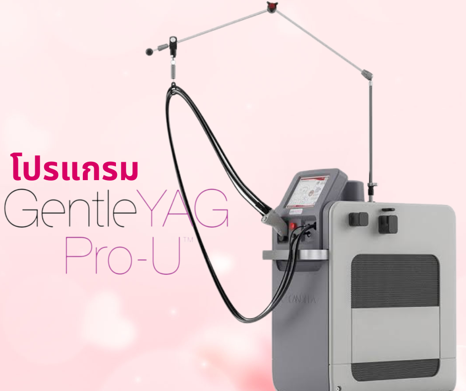 โปรแกรม Gentle YAG Pro U